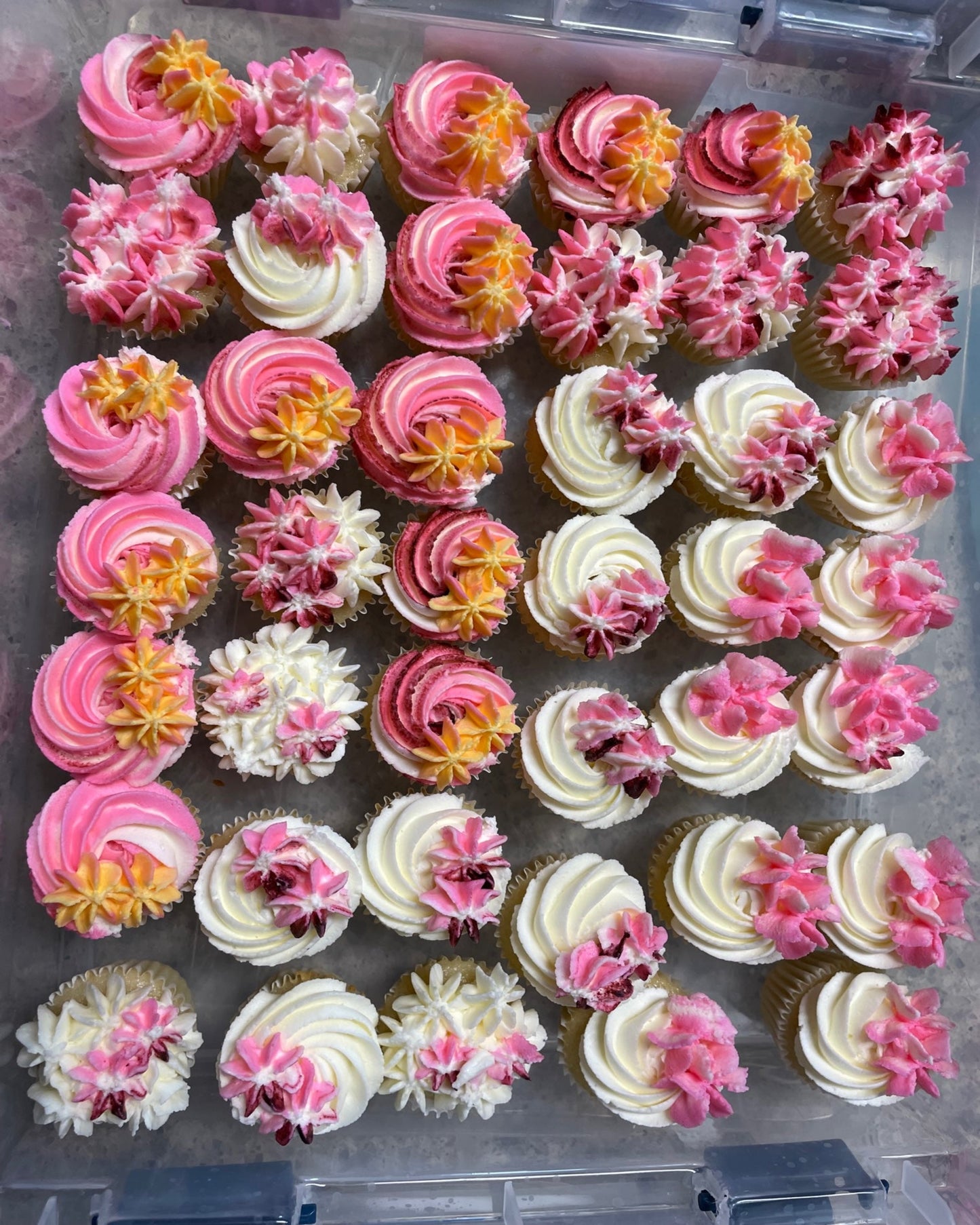 Mini cupcakes - 12pk